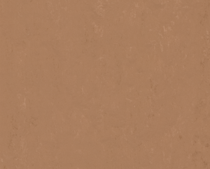 Vzor - t3772 tiger's eye, kolekce Marmoleum Modular Accent
