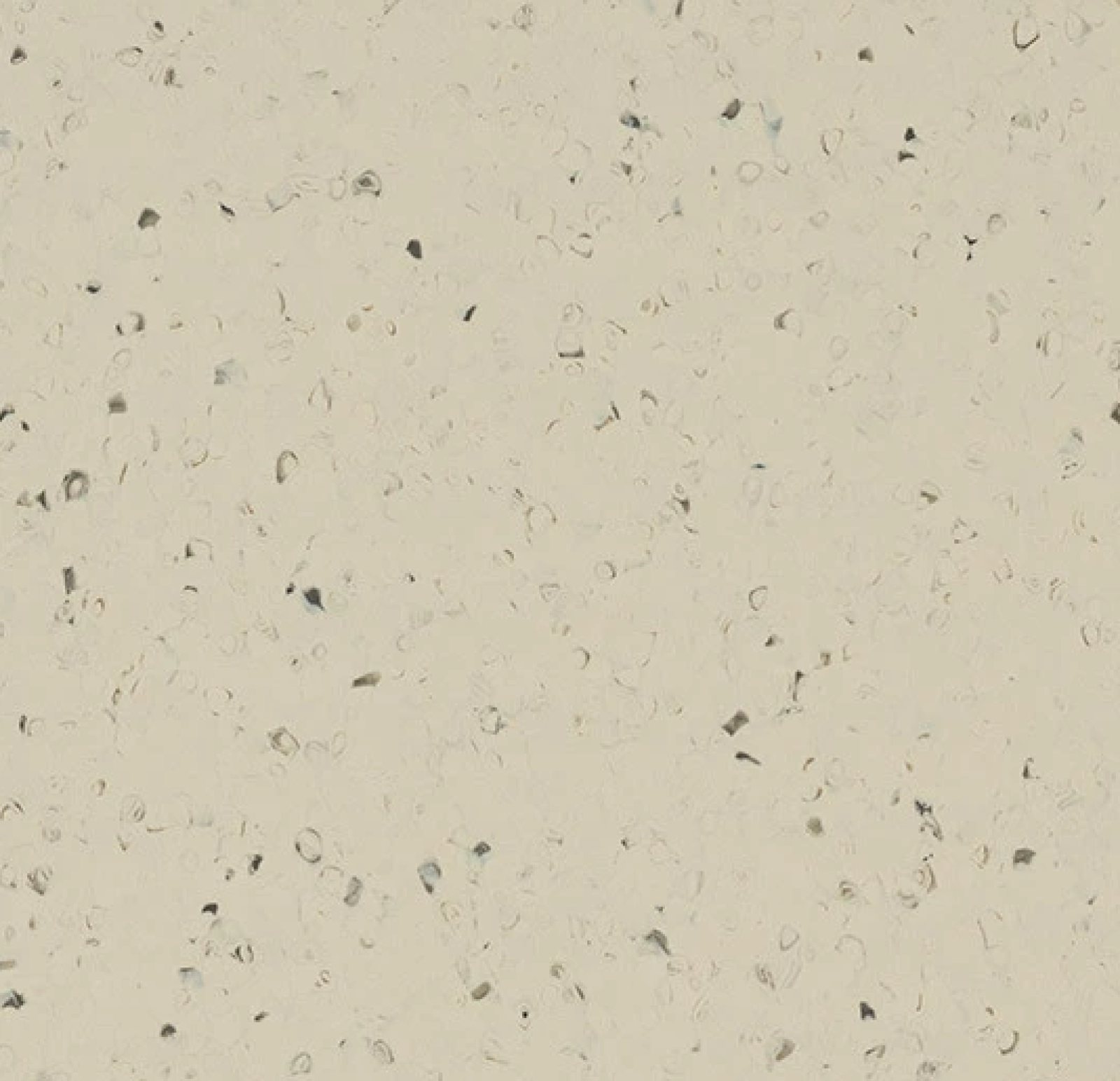 Vzor - 50964 light feather