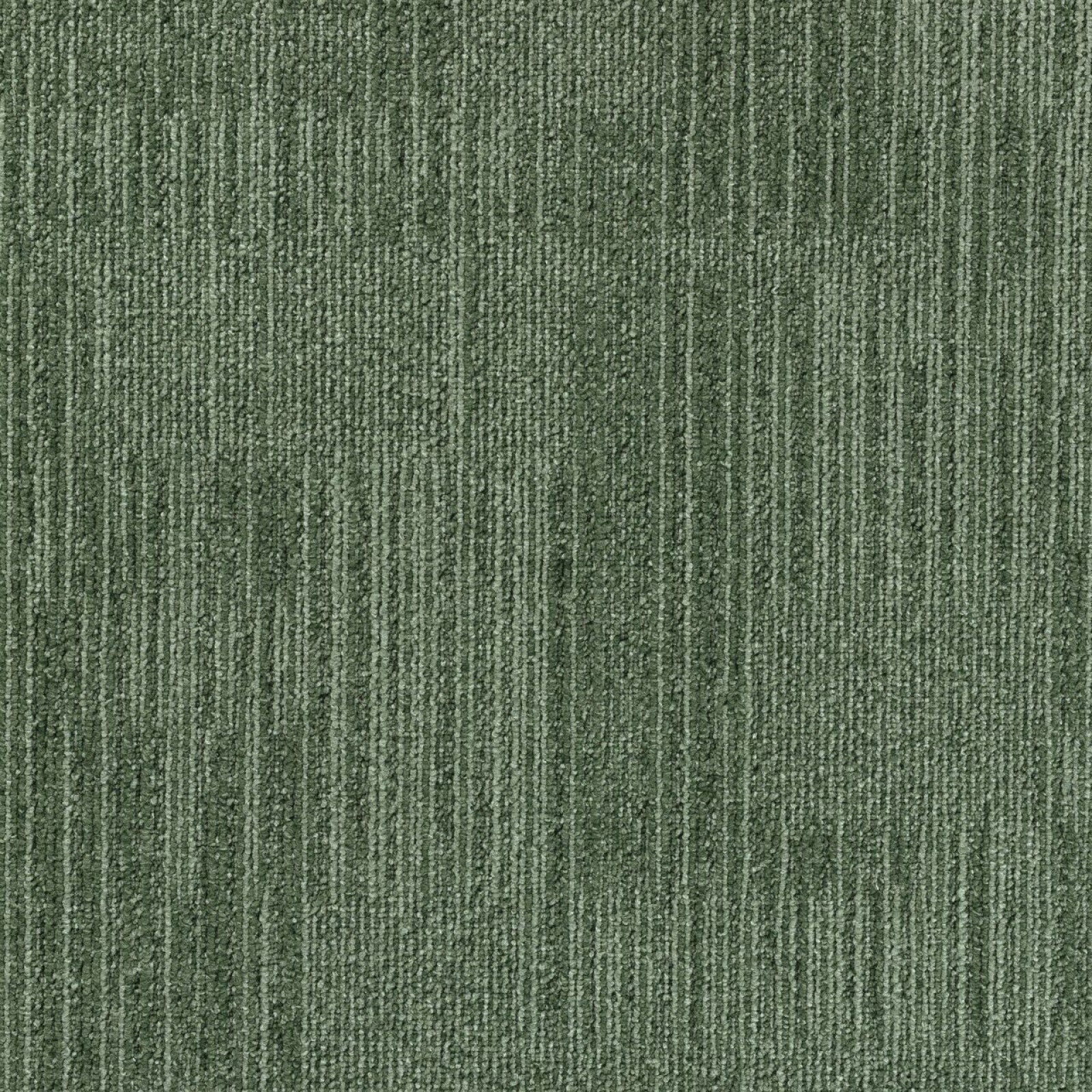Vzor - 885 oregano