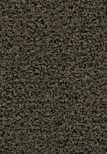 Vzor - 5234 fossil grey, kolekce Coral Brush
