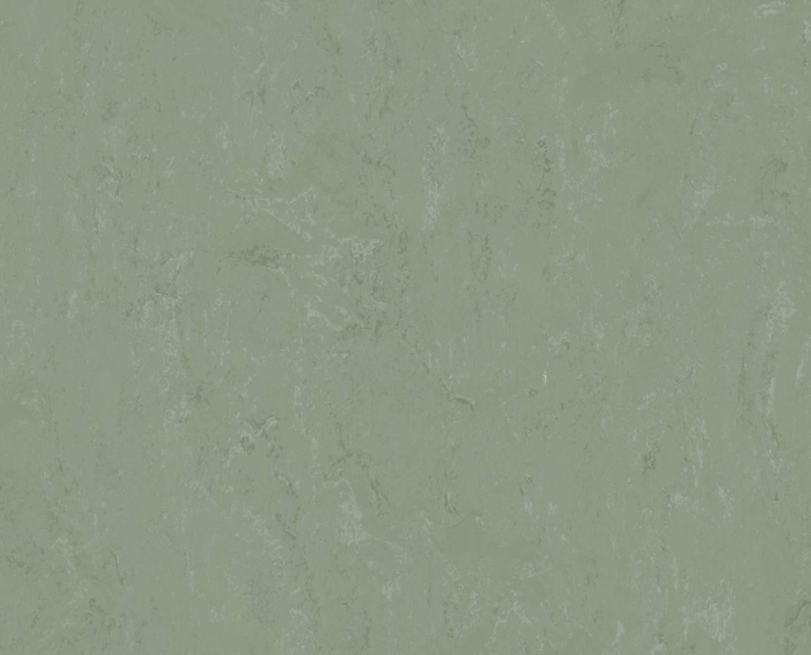 Vzor - t3750 pine forest