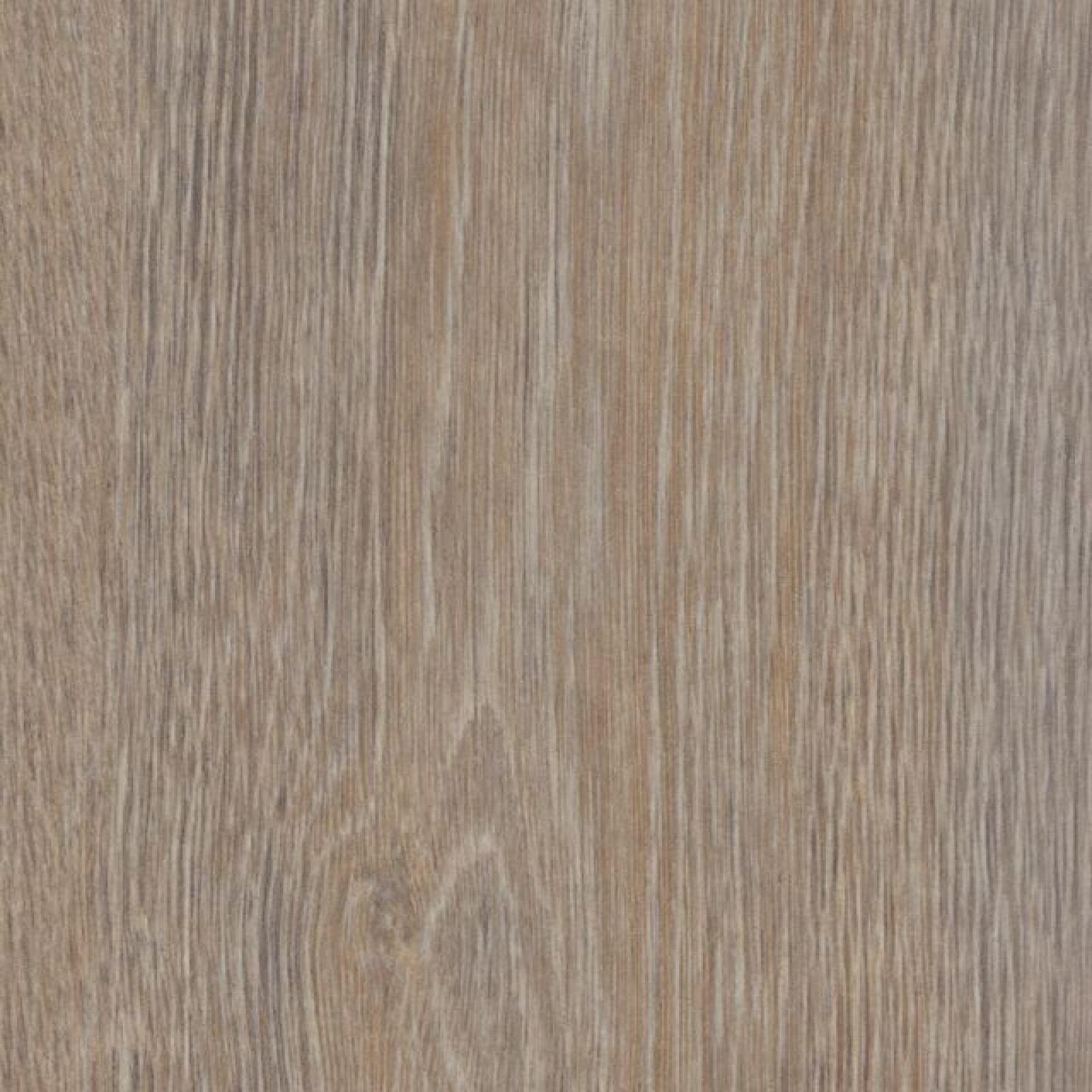 Vzor - 60293DR steamed oak