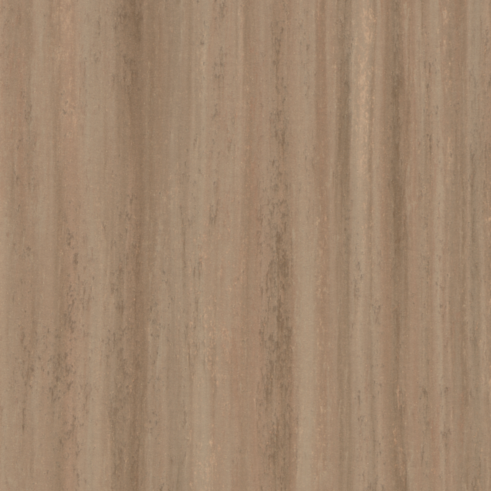 Vzor - t5217 withered prairie