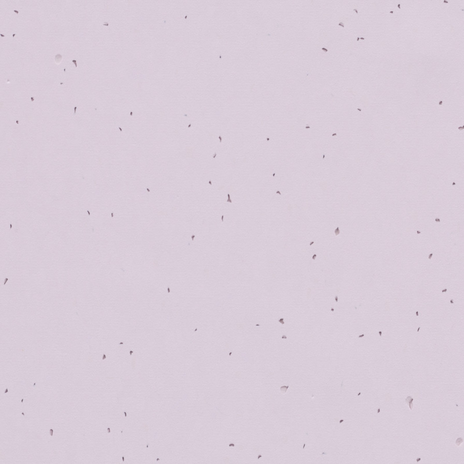 Vzor - 50234 lilac