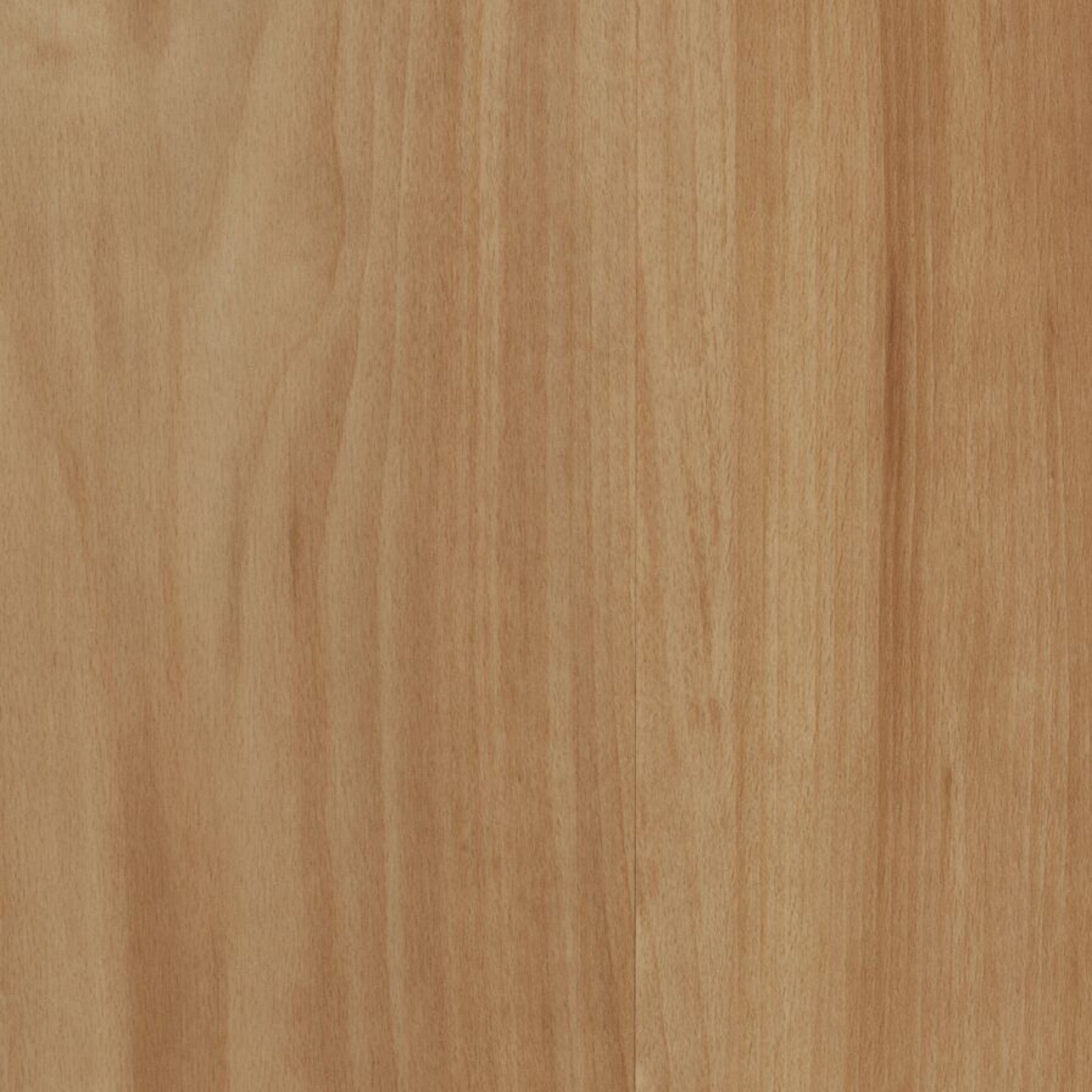Vzor - 60026FL classic beech