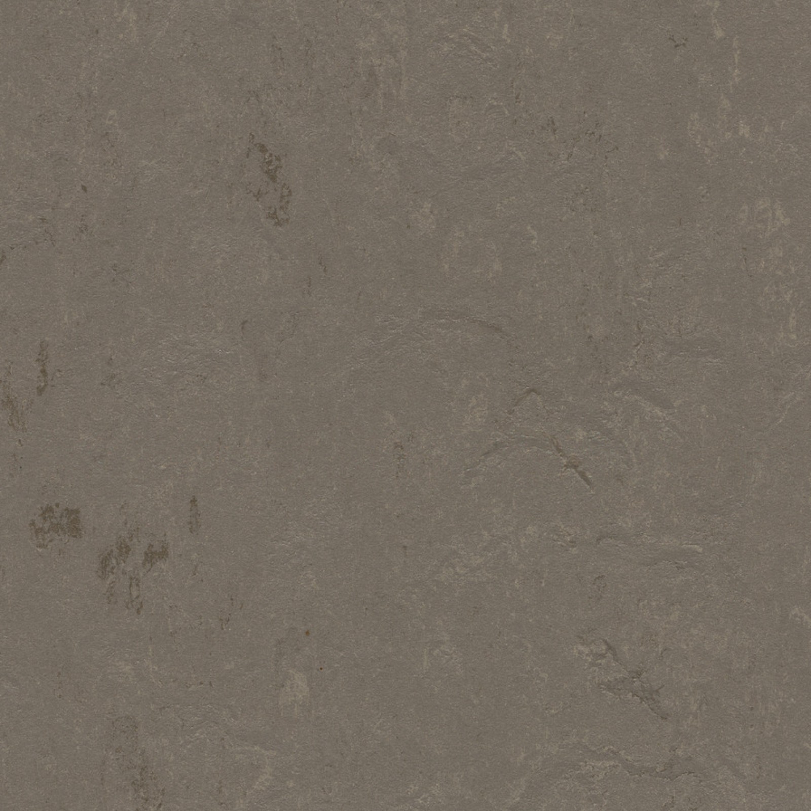 Vzor - 370535 meteorite