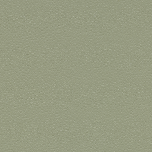 Vzor - 180742 sage, kolekce Safestep Aqua