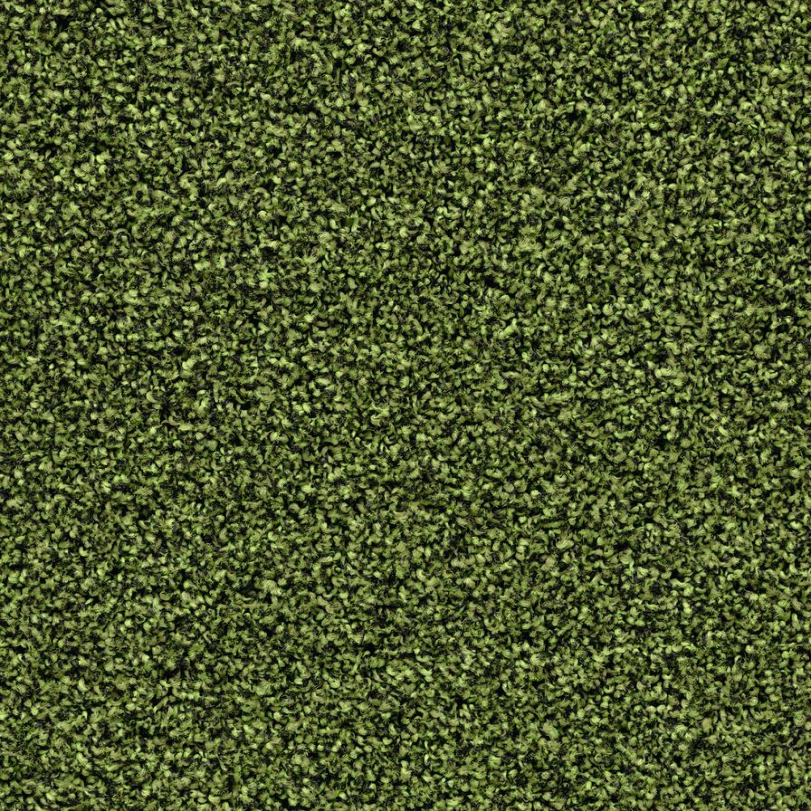 Vzor - t2608 fresh grass