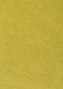Vzor - 83878, kolekce Marmoleum Sport
