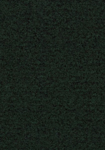 Vzor - 5288 racing green, kolekce Coral Brush