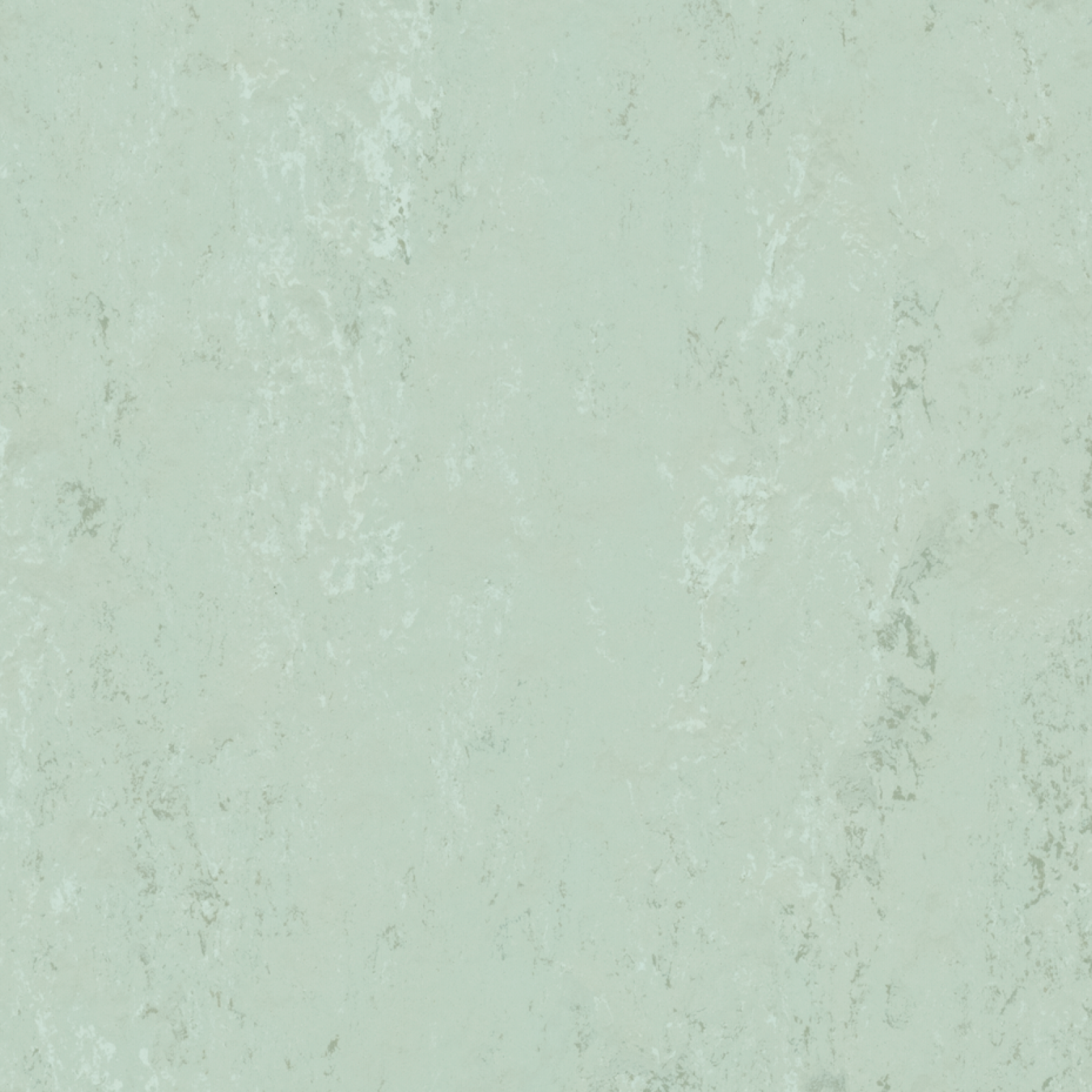 Vzor - t3769 fresh thyme
