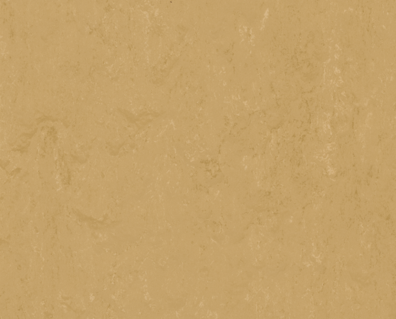 Dekor Marmoleum Modular Accent