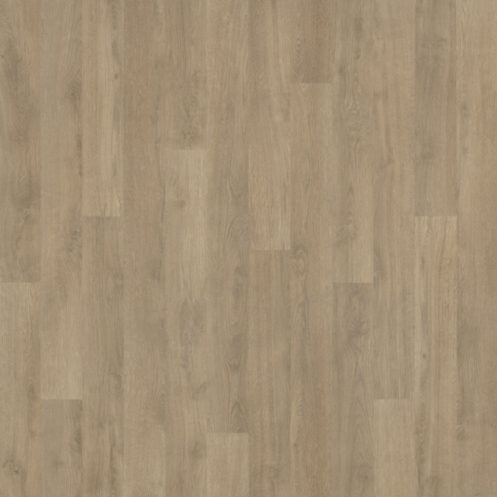 Vzor - 18962 whitewash oak