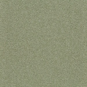 Vzor - 3627 fern, kolekce Tessera Chroma