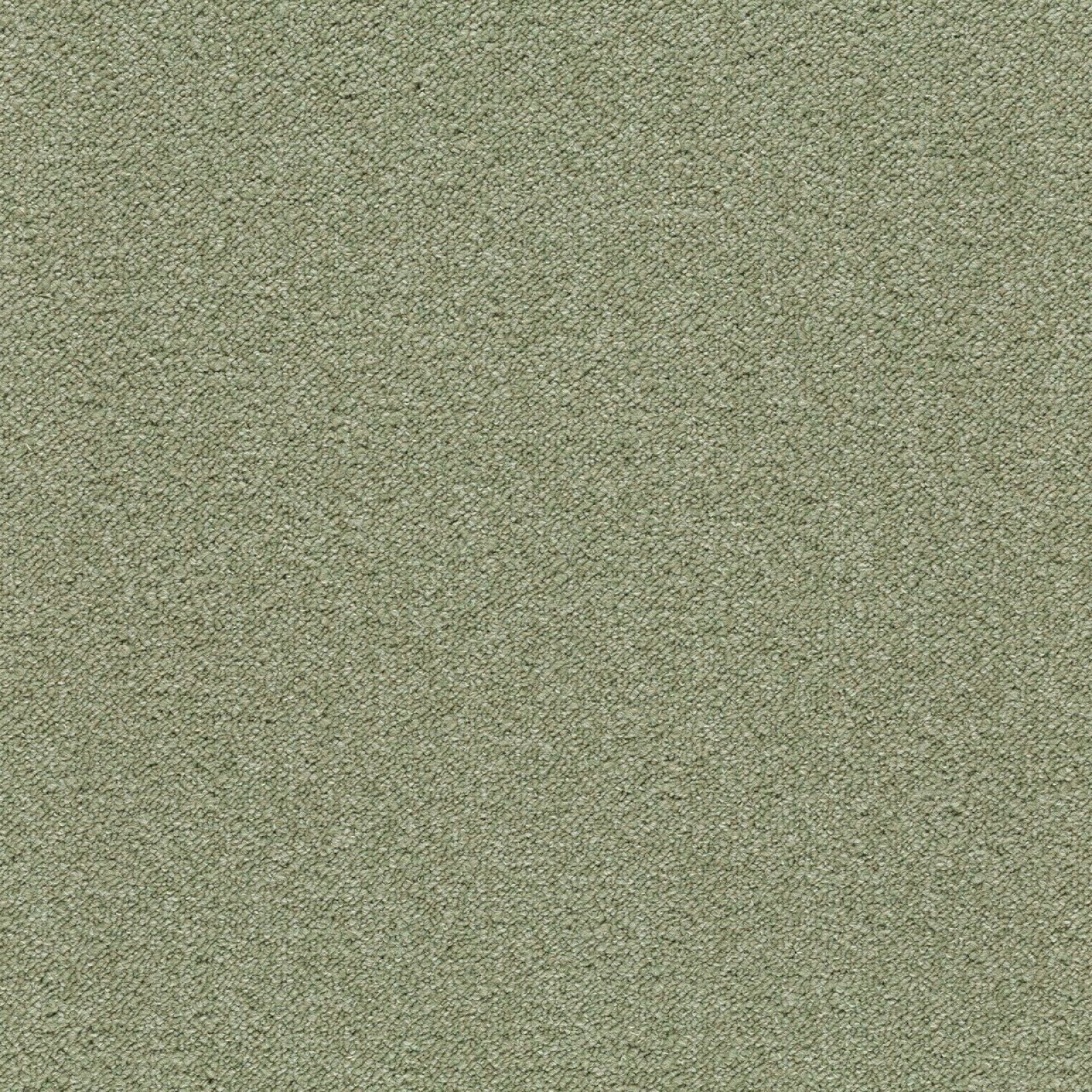 Vzor - 3627 fern