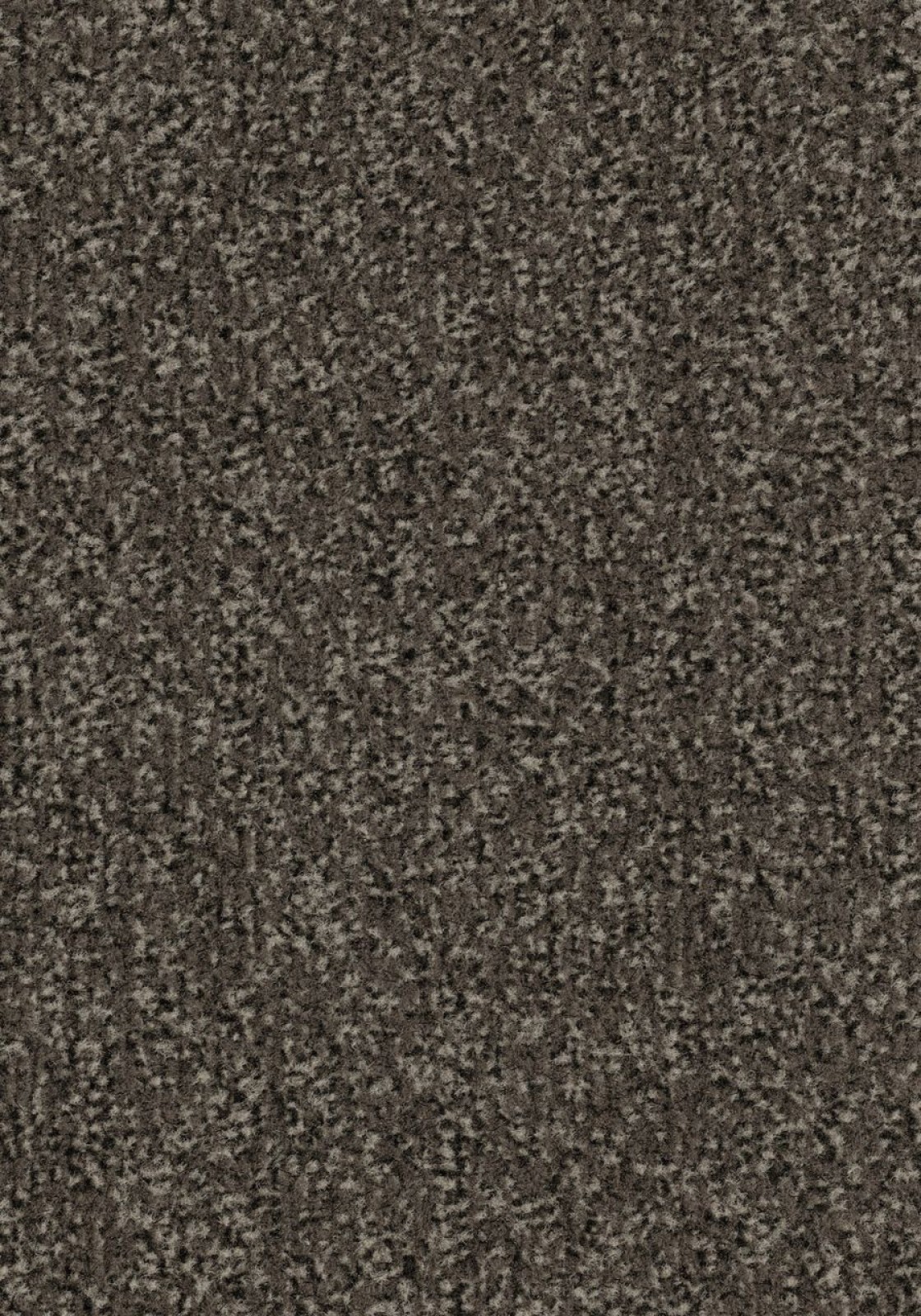 Vzor - 4794 taupe