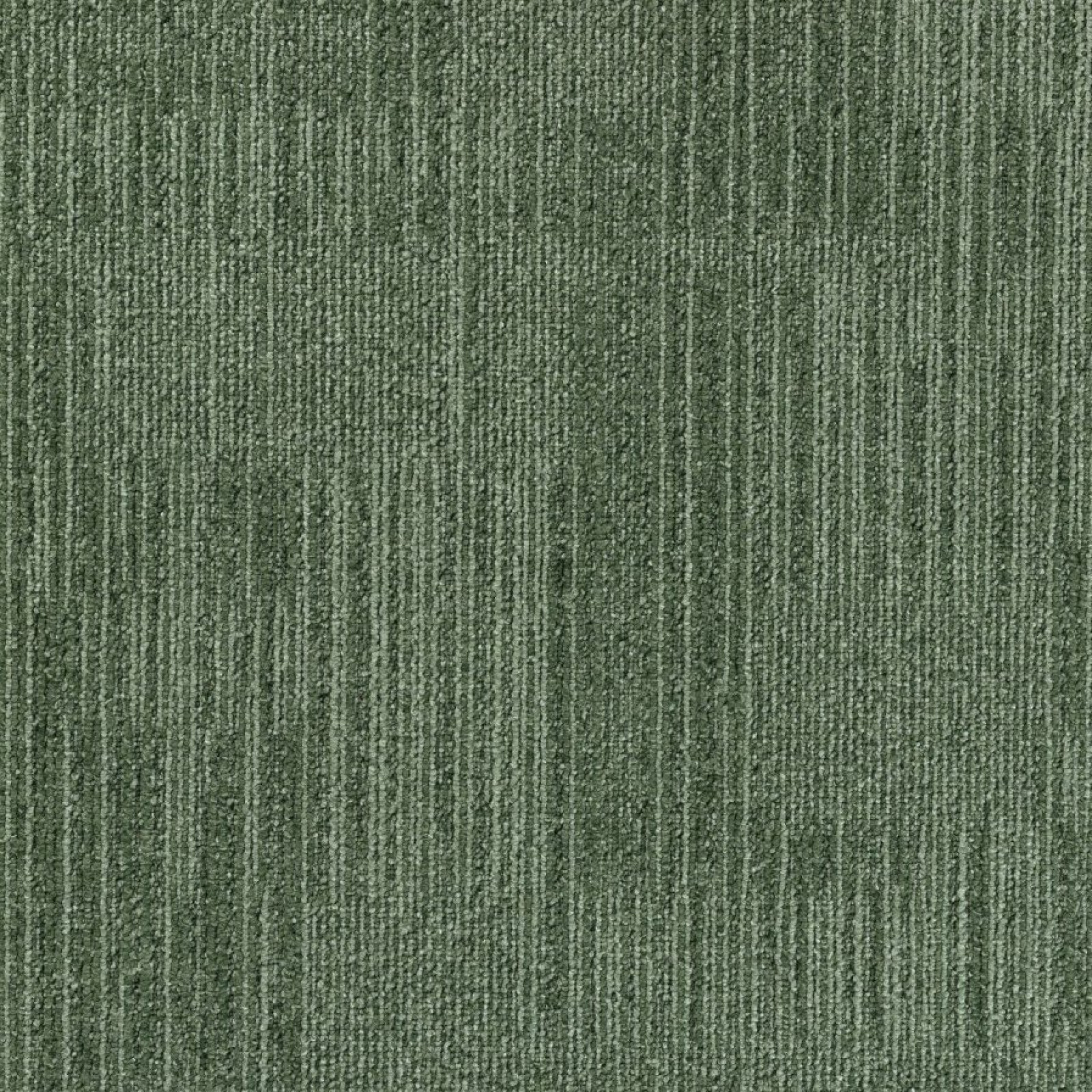 Vzor - 885 oregano