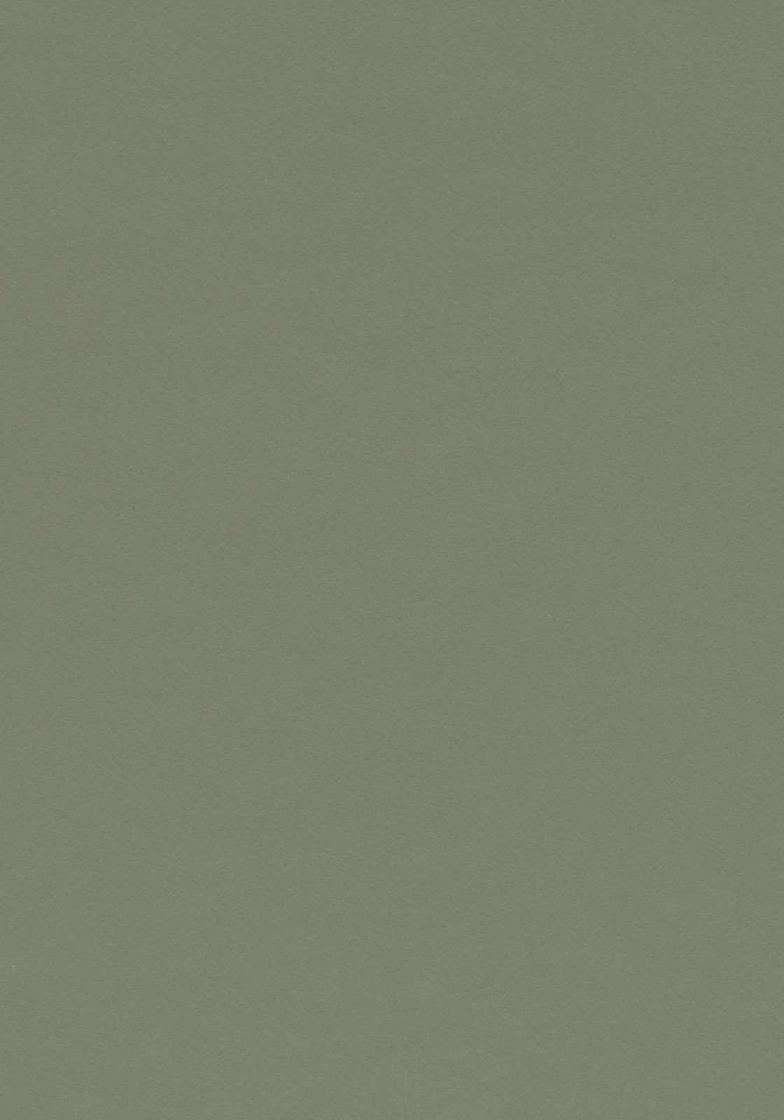 Vzor - 4184 olive