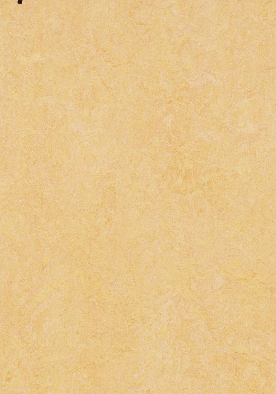 Vzor - 3846 natural corn (H35)