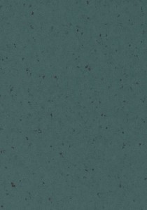Vzor - 50956 castleton green, kolekce Sphera Elite b+