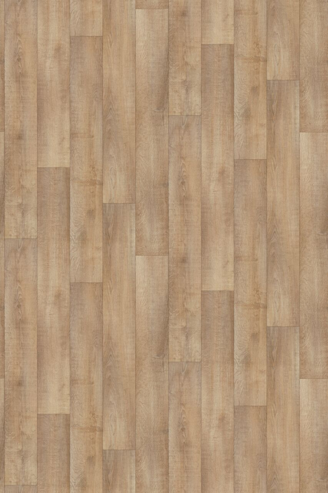 Vzor - 10562 real oak