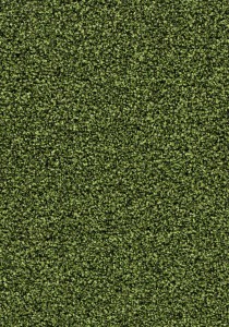 Vzor - t2608 fresh grass, kolekce Coral Čtverce