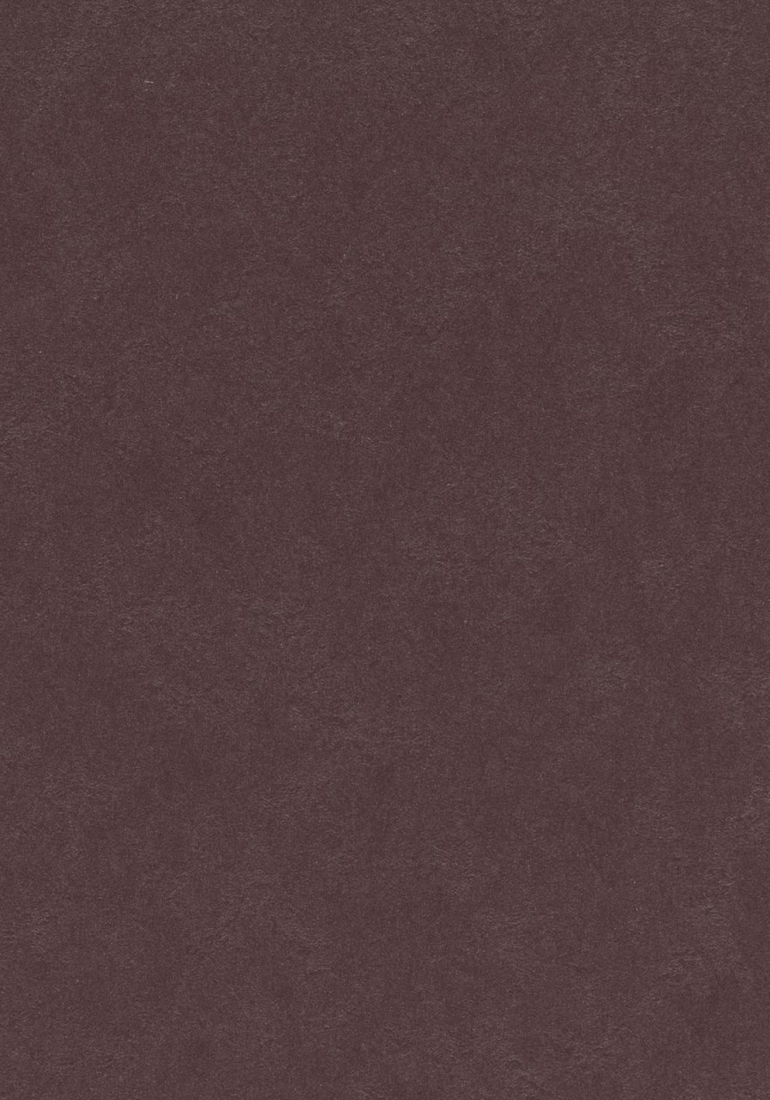 Vzor - 3353 eggplant purple
