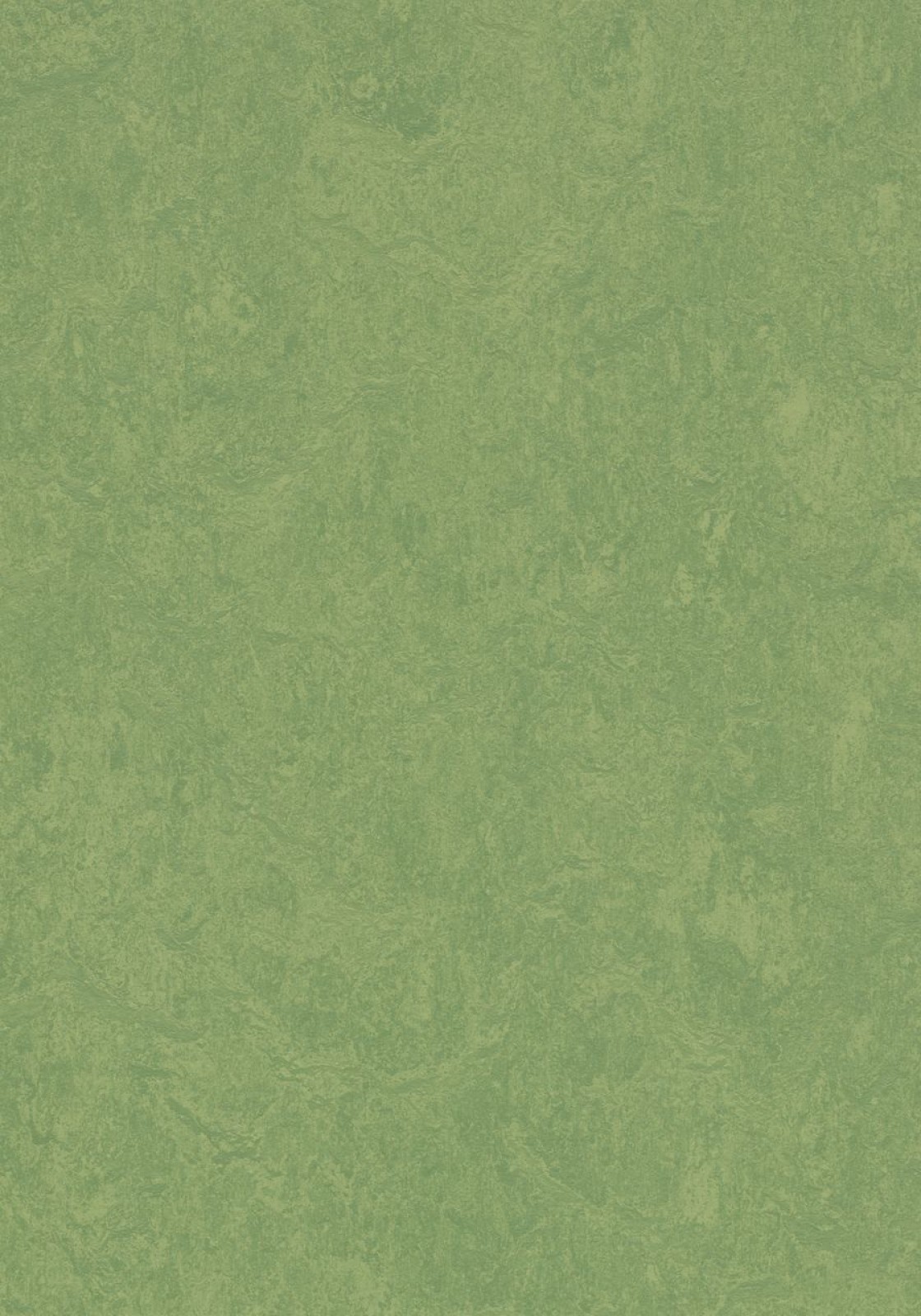 Vzor - 3260 leaf