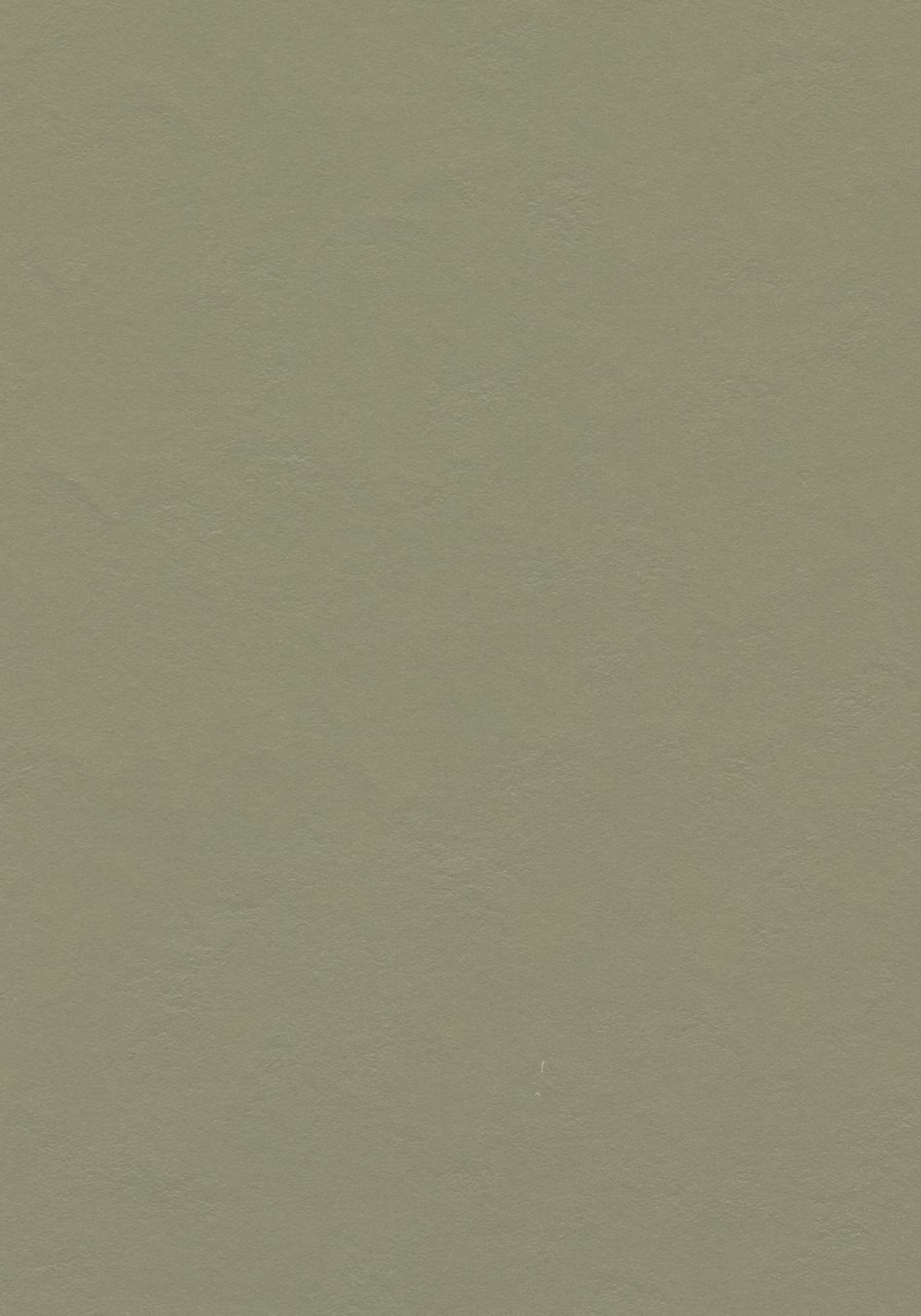 Vzor - 3355 rosemary green
