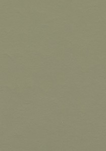 Vzor - 3355 rosemary green, kolekce Marmoleum Walton