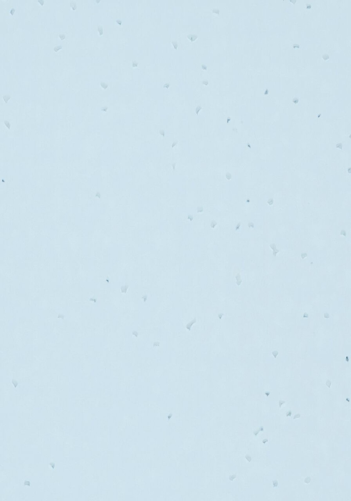 Vzor - 50267 celeste