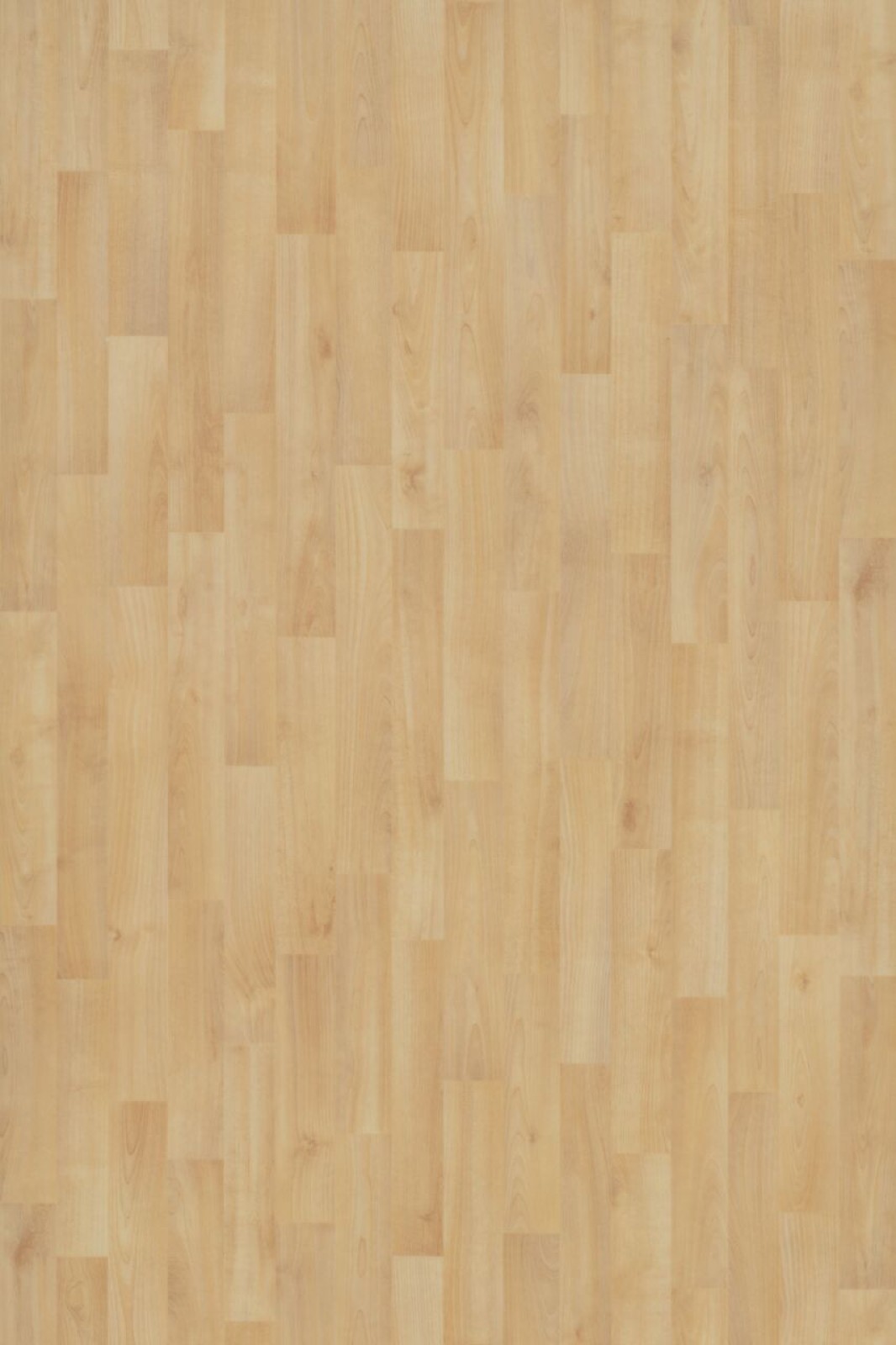 Vzor - 11122 natural beech