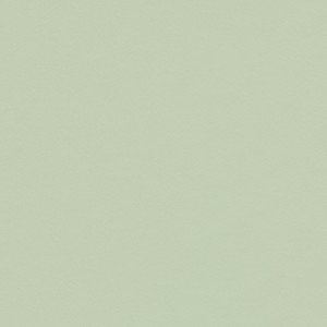 Vzor - 4183 pistachio, kolekce Desktop