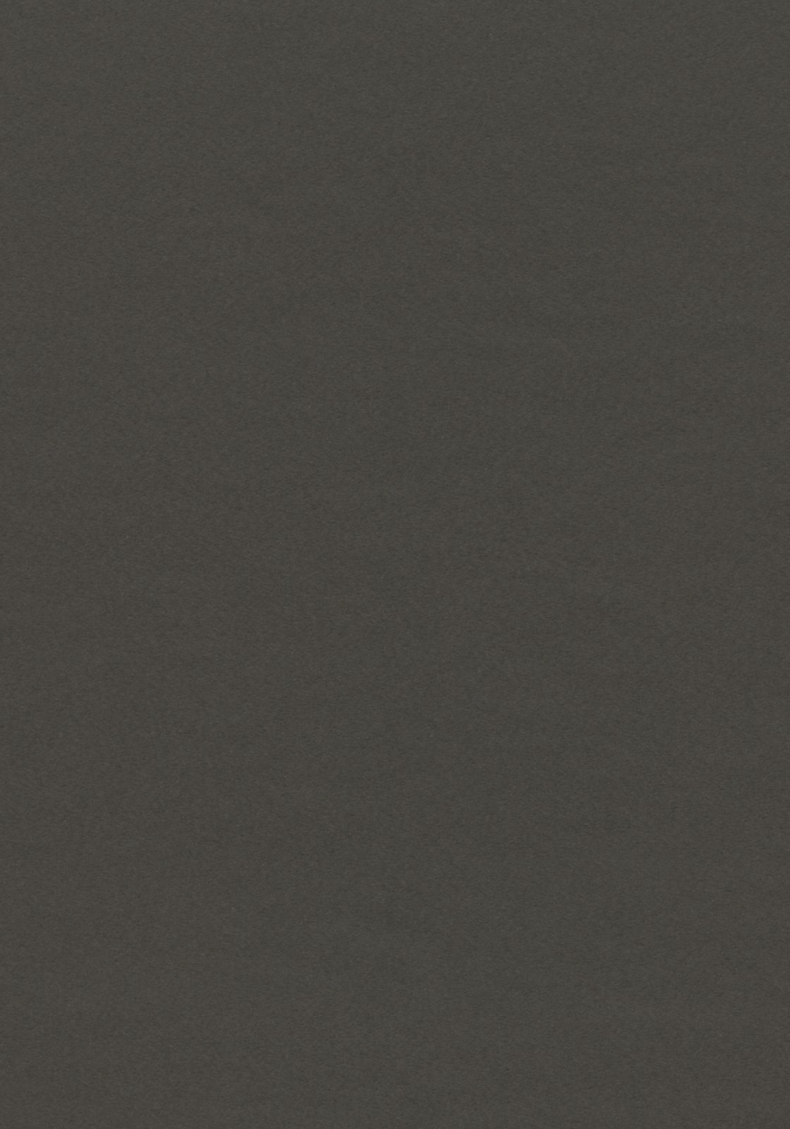 Vzor - 4178 iron (doprodej)