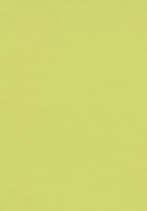 Vzor - 4182 spring green (doprodej), kolekce Desktop