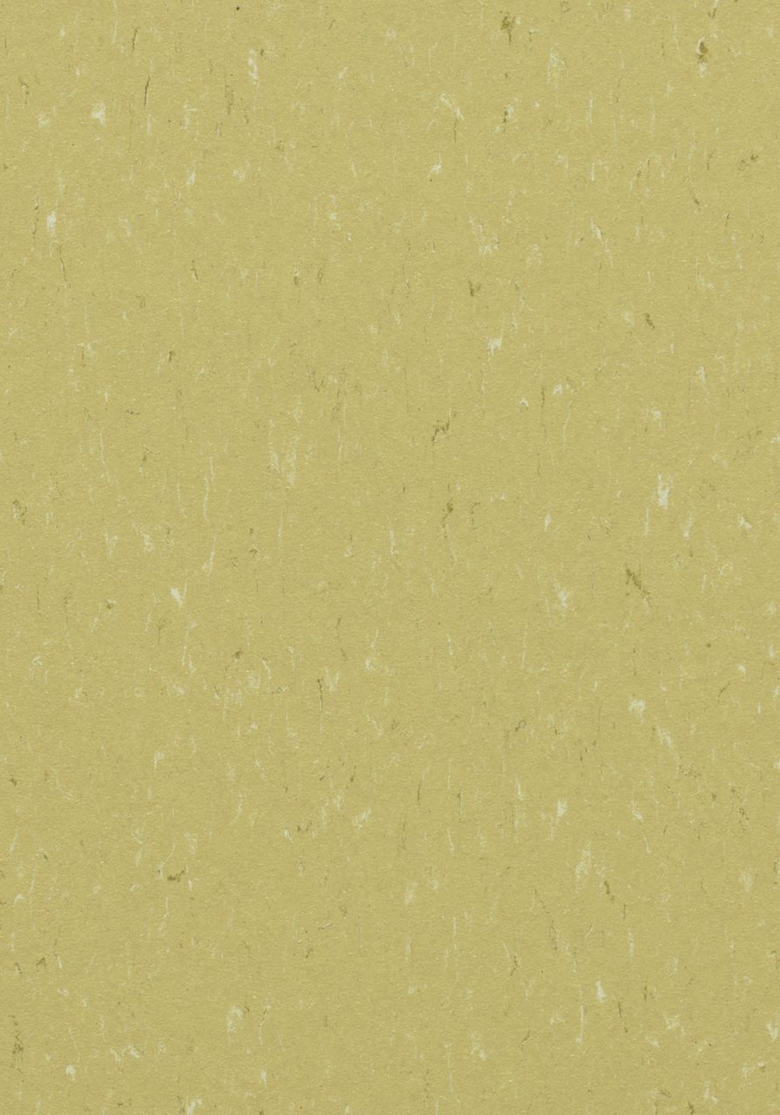 Vzor - 3634 meadow