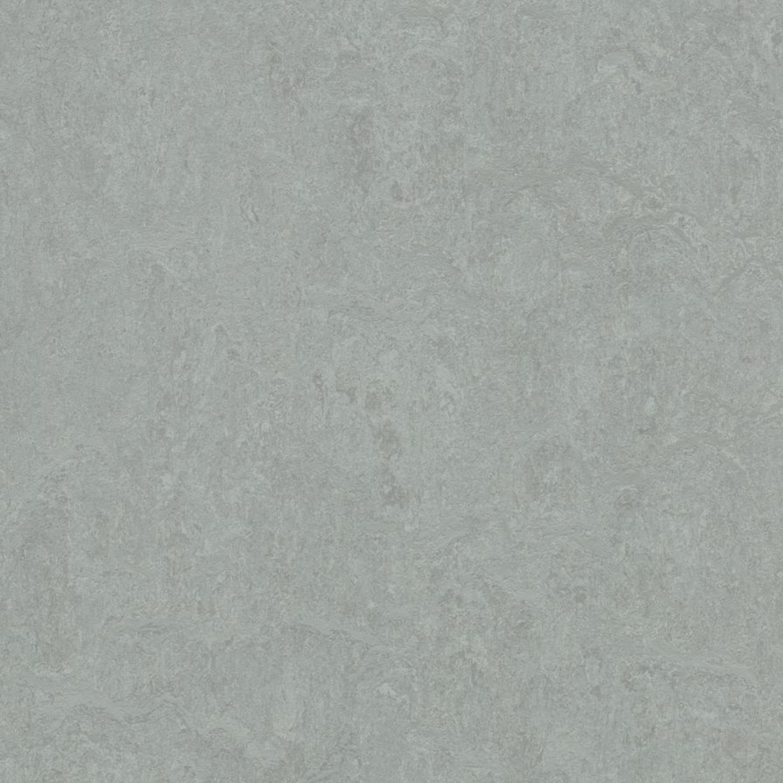 Vzor - 388935 cider