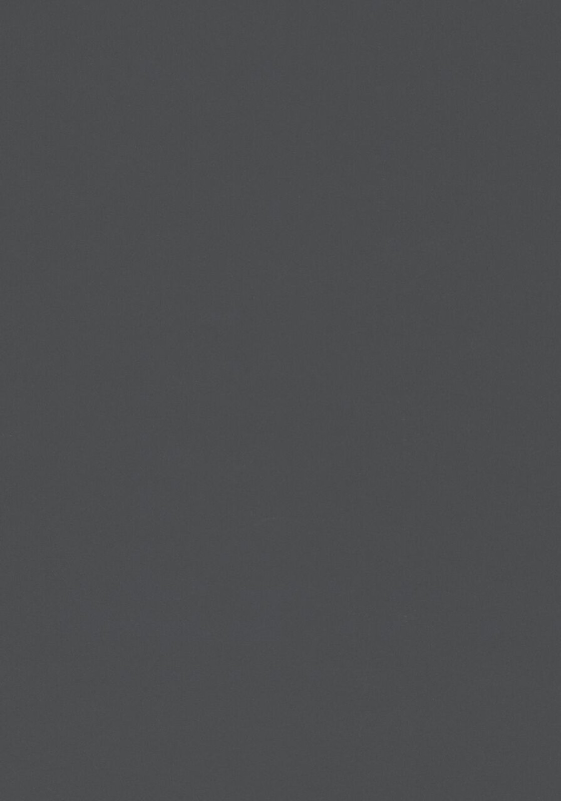 Vzor - 4012 basalt