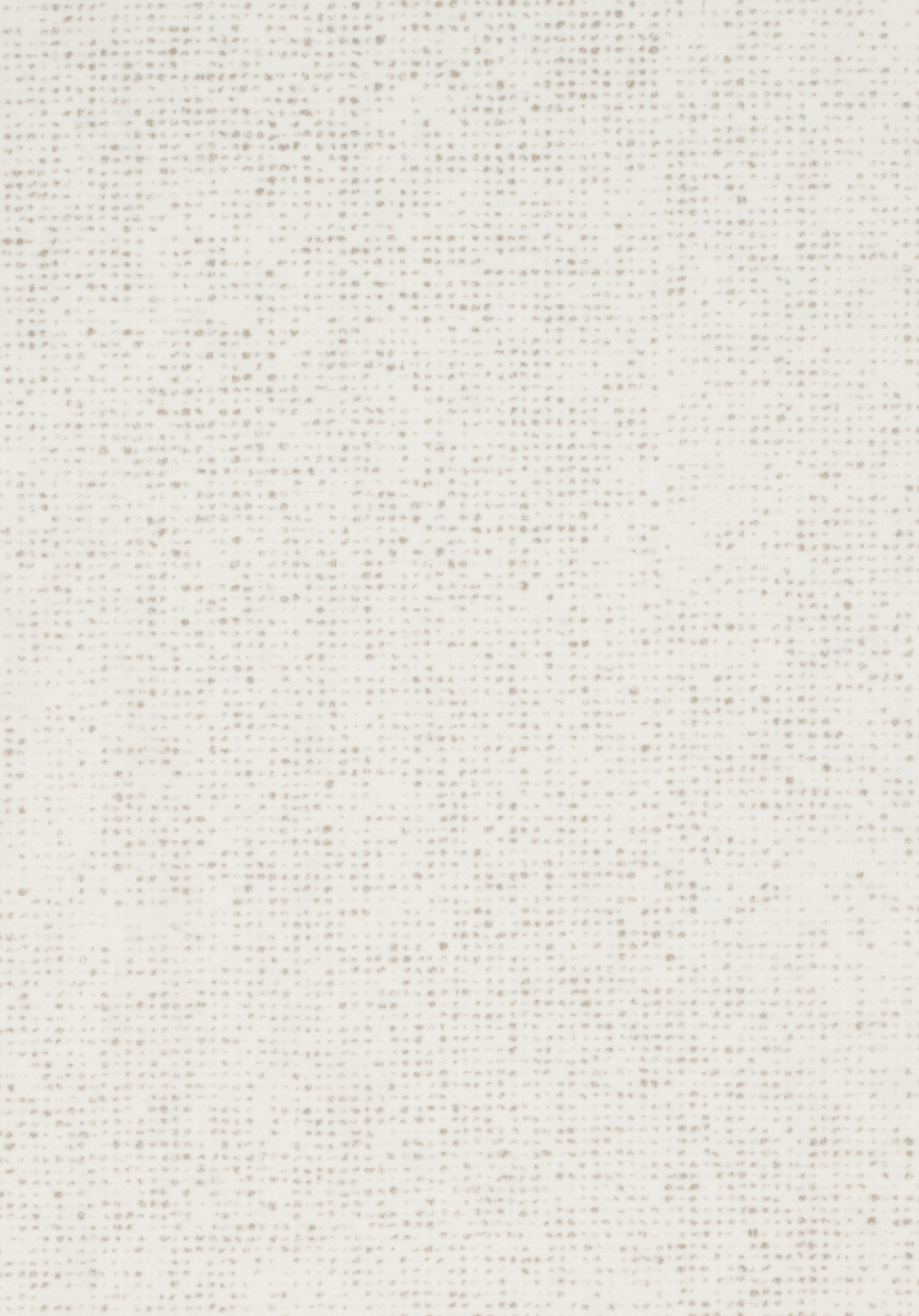 Vzor - 26664 hessian cloud
