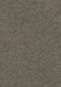 Vzor - 900273 sandstone, kolekce Showtime Colour