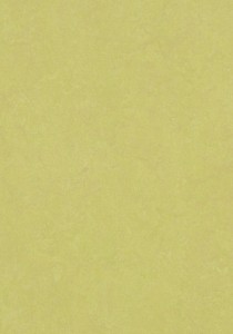 Vzor - 3885 spring buds, kolekce Marmoleum Fresco