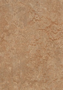 Vzor - 3233 shitake, kolekce Marmoleum Real