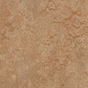 Vzor - 3233 shitake, kolekce Marmoleum Real