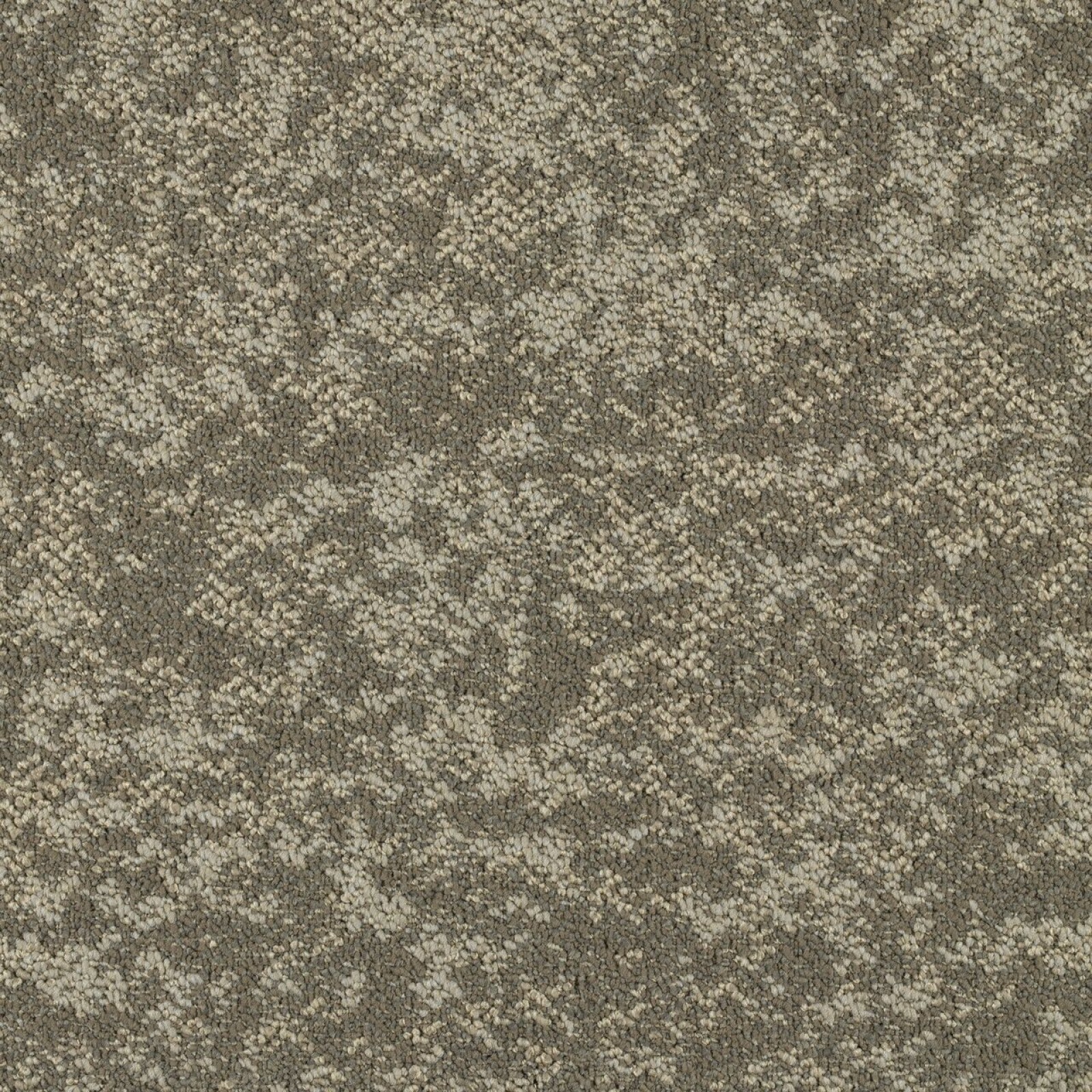 Vzor - 3251 moraine