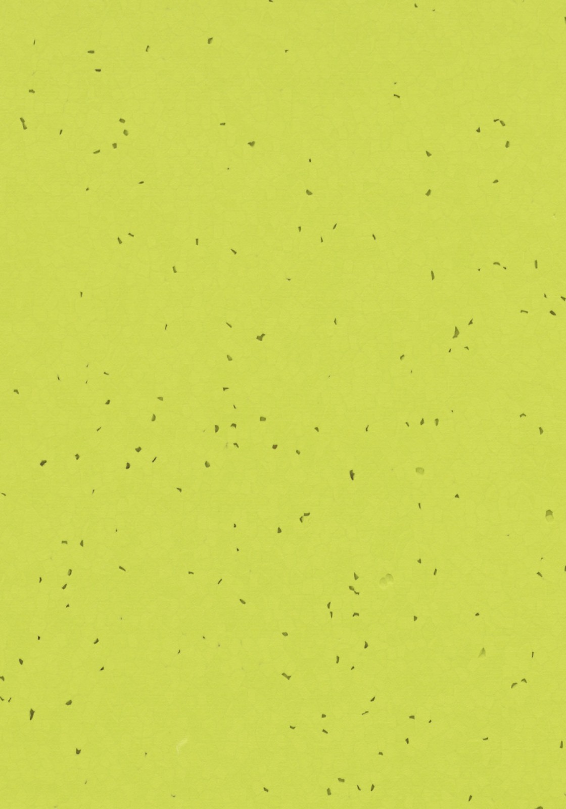 Vzor - 50214 lime