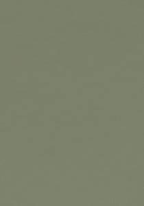 Vzor - 4184 olive, kolekce Desktop