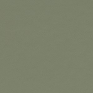 Vzor - 4184 olive, kolekce Desktop