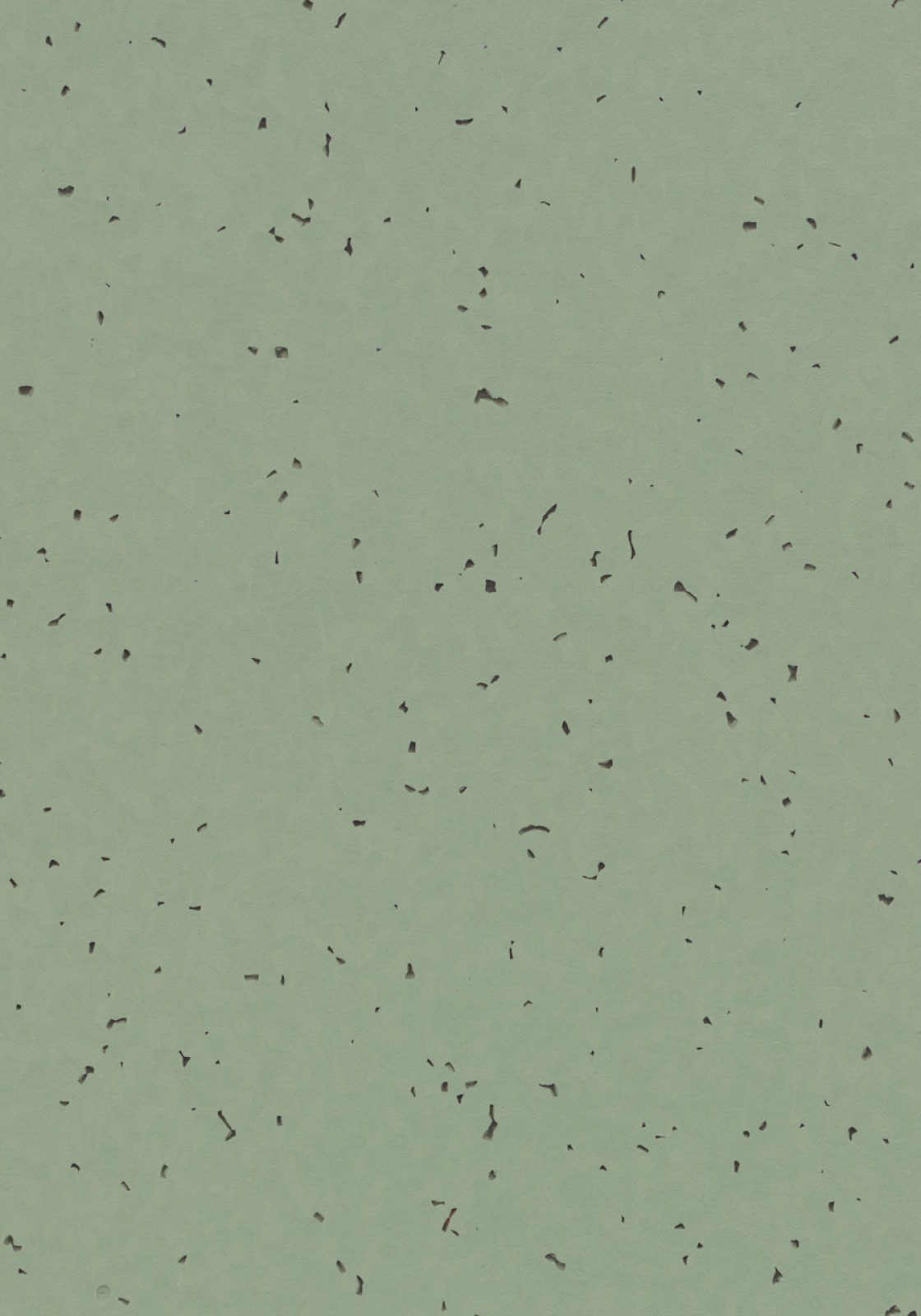 Vzor - 50236 thyme
