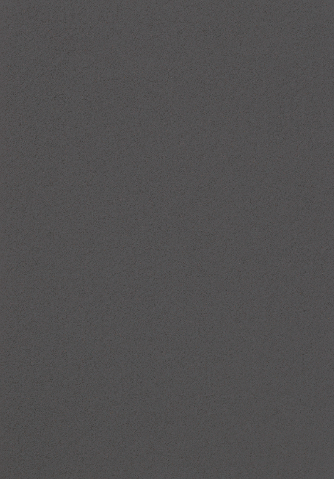 Vzor - 2204 poppy seed