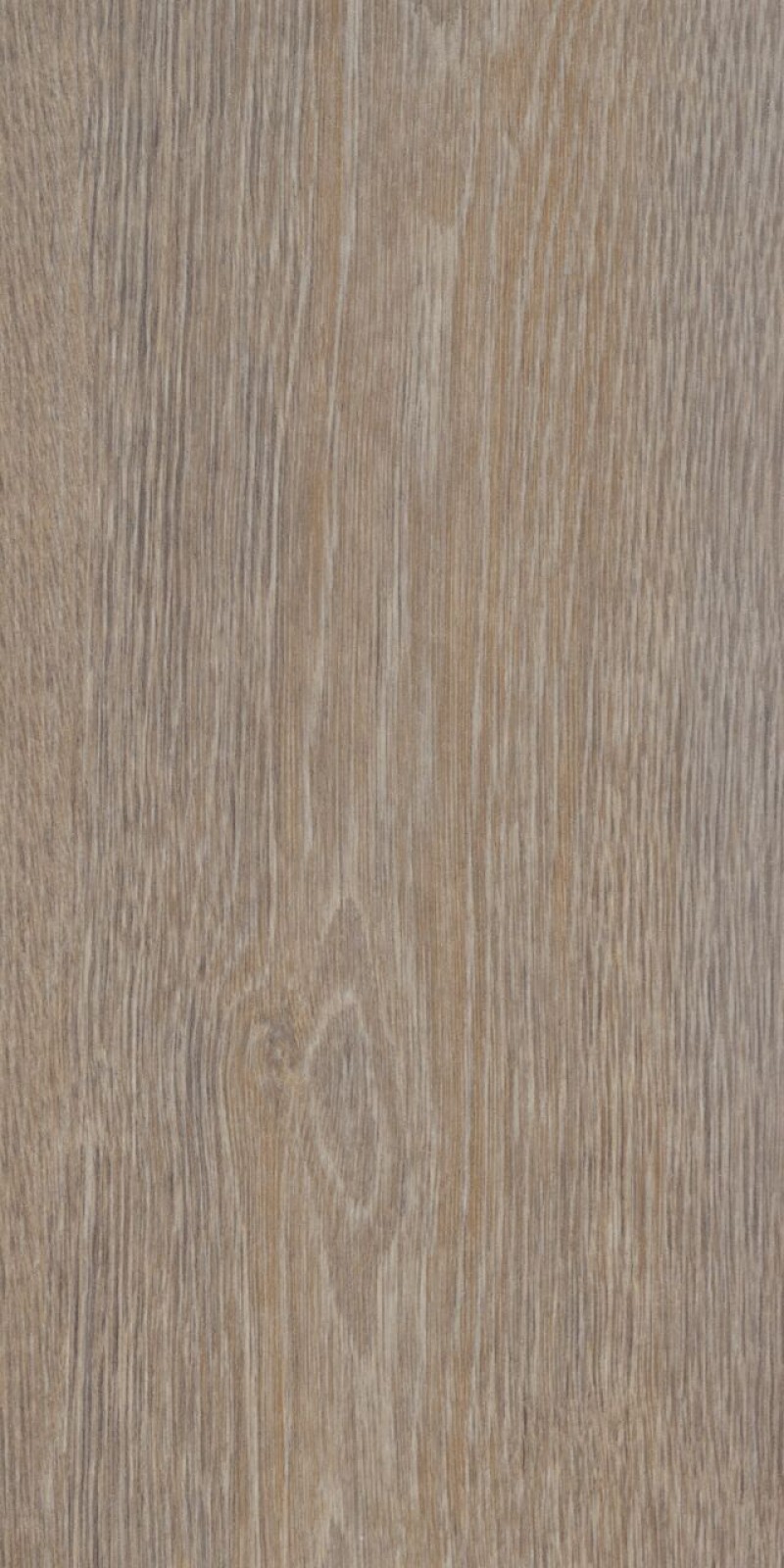 Vzor - 60293DR steamed oak
